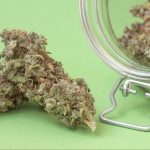 Reasons Why High-Quality CBD Flowers for Sale in Top Quality