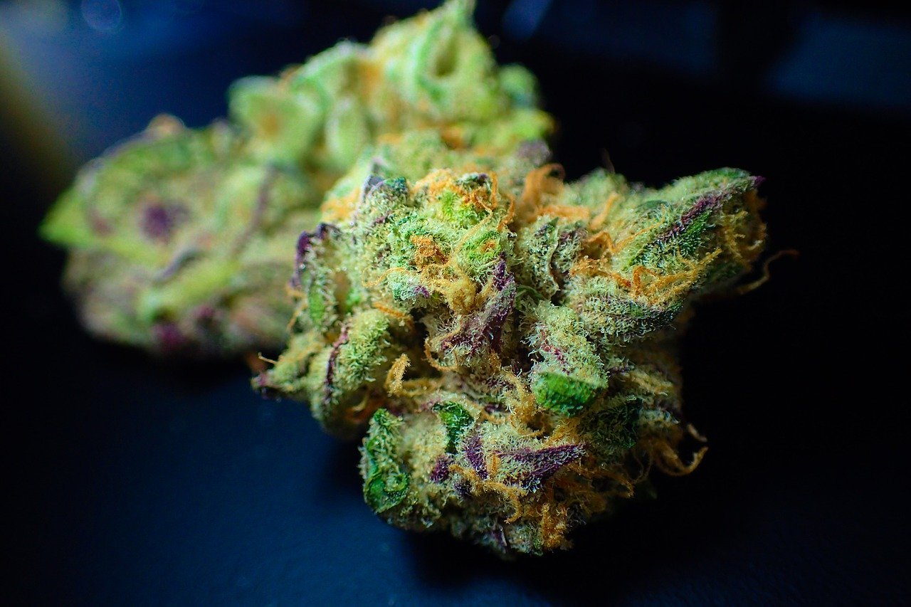 THCA Flower for Pain Management: Effects and Benefits